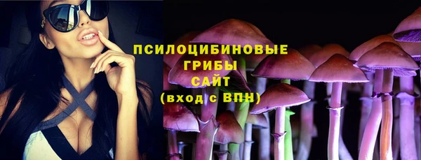 а пвп мука Алзамай