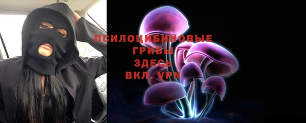 амф Абаза