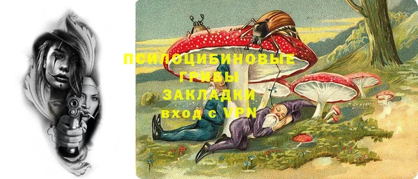 не бодяженный Алексин