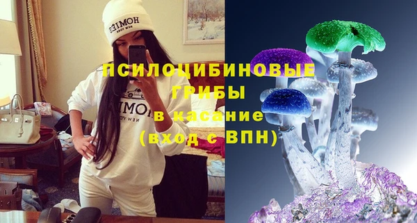 ГАЛЛЮЦИНОГЕННЫЕ ГРИБЫ Алексеевка