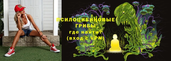 не бодяженный Алексин