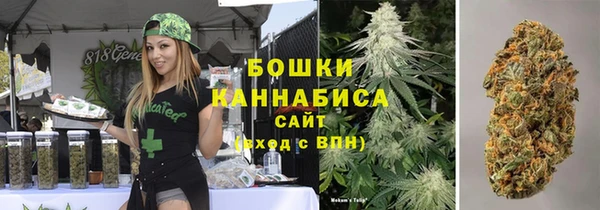 ГАЛЛЮЦИНОГЕННЫЕ ГРИБЫ Алексеевка