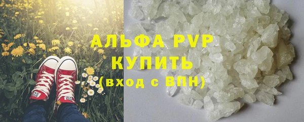 apvp Иннополис