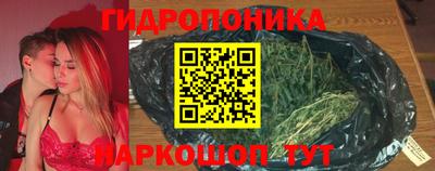 крисы Краснокаменск