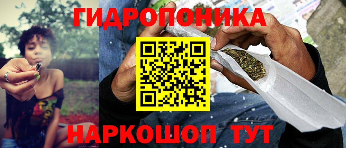 Бошки марихуана план  Вход с VPN  Канабис тримм  Красноуфимск  Марихуана план 